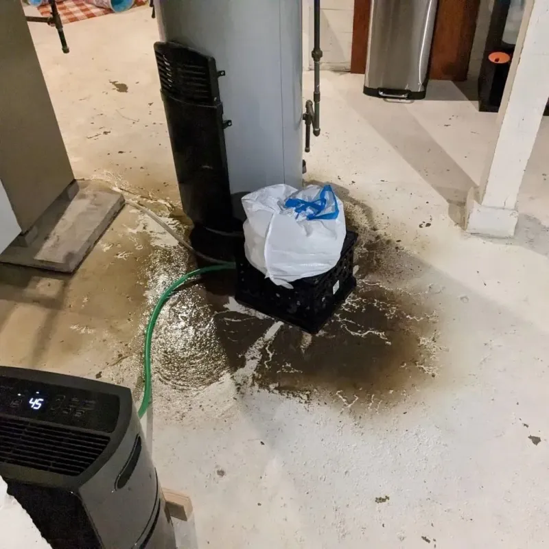Sewage Backup Cleanup Service in Izard County, AR